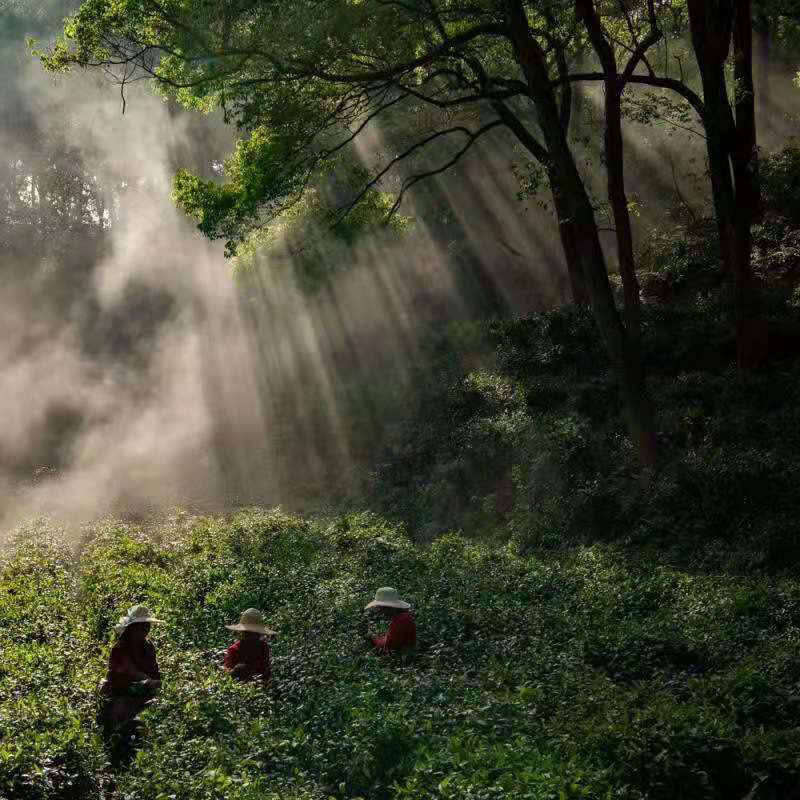 圖片2.png 圖片2.png