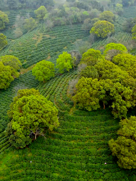 微信圖片_20250317134837.png 微信圖片_20250317134837.png